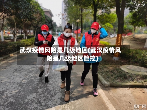 武汉疫情风险是几级地区(武汉疫情风险是几级地区管控)-第1张图片