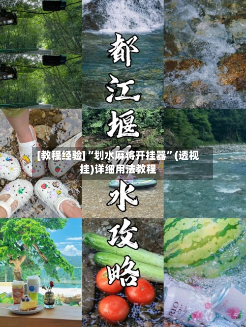 [教程经验]“划水麻将开挂器”(透视挂)详细用法教程-第1张图片