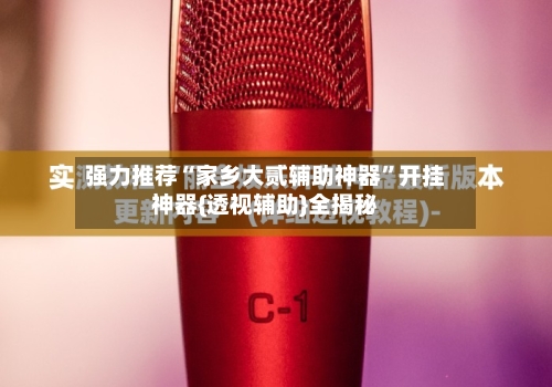 强力推荐“家乡大贰辅助神器”开挂神器{透视辅助}全揭秘-第1张图片