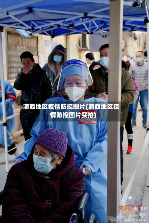 浦西地区疫情防控图片(浦西地区疫情防控图片实拍)-第1张图片