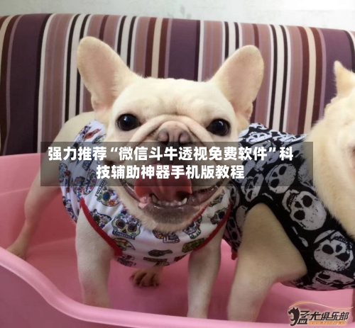 强力推荐“微信斗牛透视免费软件	”科技辅助神器手机版教程-第1张图片