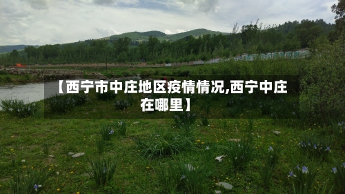 【西宁市中庄地区疫情情况,西宁中庄在哪里】-第1张图片