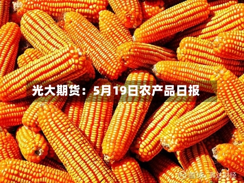 光大期货:5月19日农产品日报-第1张图片