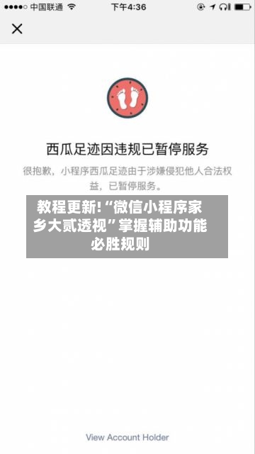 教程更新!“微信小程序家乡大贰透视”掌握辅助功能必胜规则-第1张图片