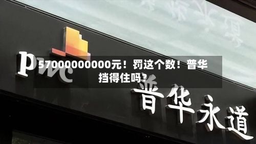 57000000000元！罚这个数！普华挡得住吗？-第1张图片