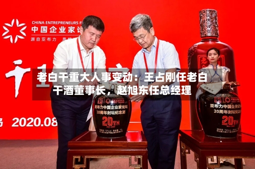 老白干重大人事变动：王占刚任老白干酒董事长，赵旭东任总经理-第1张图片