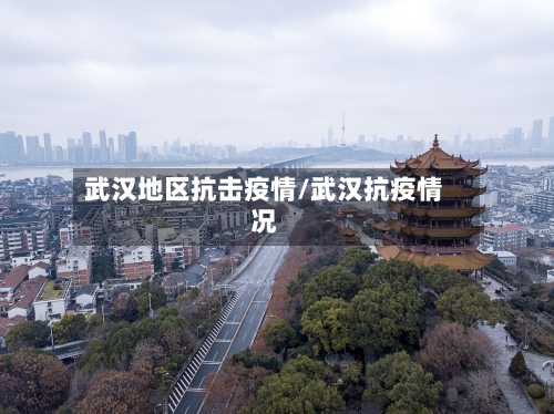 武汉地区抗击疫情/武汉抗疫情况-第1张图片