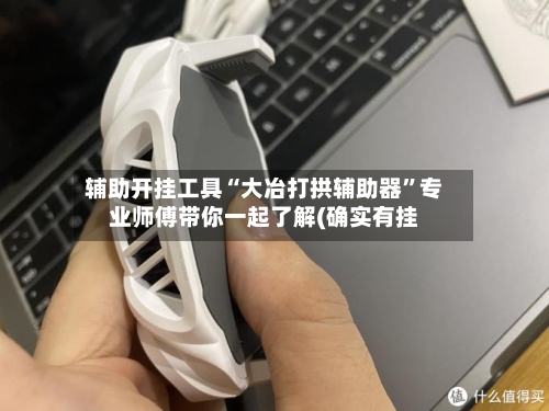 辅助开挂工具“大冶打拱辅助器	”专业师傅带你一起了解(确实有挂-第1张图片