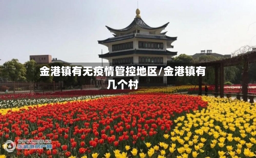 金港镇有无疫情管控地区/金港镇有几个村-第1张图片