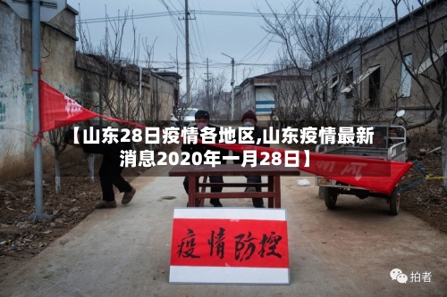 【山东28日疫情各地区,山东疫情最新消息2020年一月28日】-第1张图片
