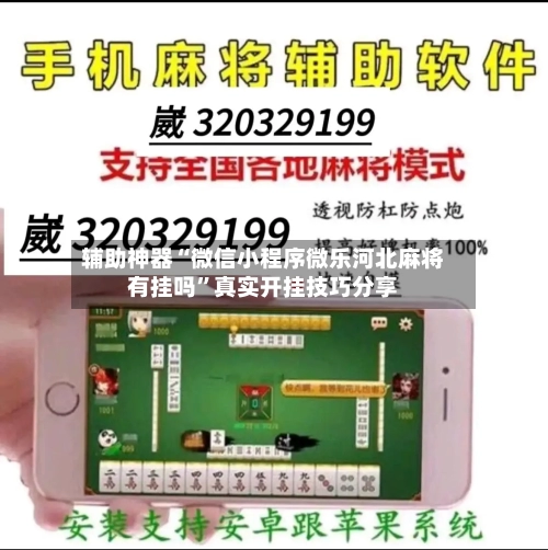 辅助神器“微信小程序微乐河北麻将有挂吗”真实开挂技巧分享-第1张图片