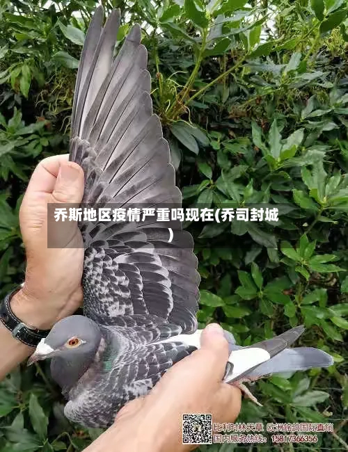 乔斯地区疫情严重吗现在(乔司封城)-第1张图片