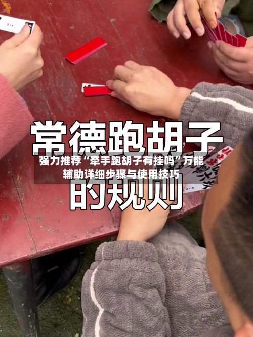 强力推荐“牵手跑胡子有挂吗”万能辅助详细步骤与使用技巧-第1张图片