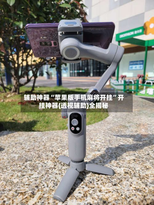 辅助神器“苹果版手机麻将开挂”开挂神器{透视辅助}全揭秘-第1张图片