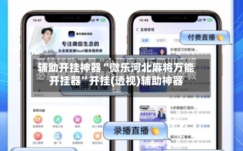 辅助开挂神器“微乐河北麻将万能开挂器”开挂(透视)辅助神器-第1张图片