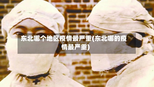 东北哪个地区疫情最严重(东北哪的疫情最严重)-第1张图片