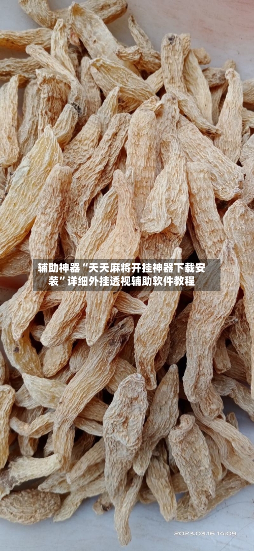 辅助神器“天天麻将开挂神器下载安装”详细外挂透视辅助软件教程-第1张图片