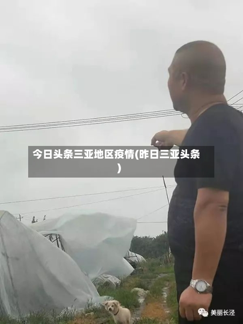 今日头条三亚地区疫情(昨日三亚头条)-第1张图片