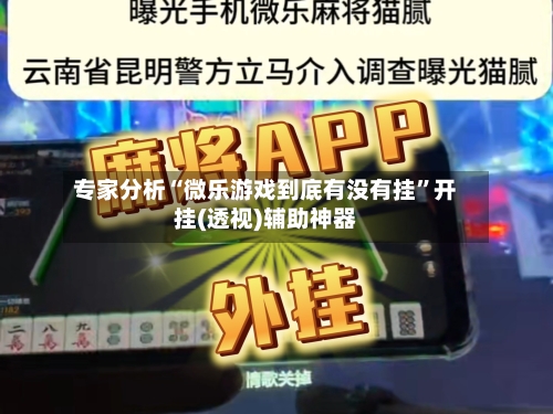 专家分析“微乐游戏到底有没有挂”开挂(透视)辅助神器-第1张图片