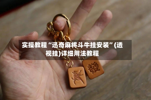 实操教程“迅奇麻将斗牛挂安装”(透视挂)详细用法教程-第1张图片