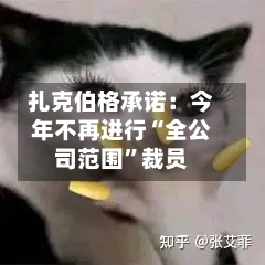 扎克伯格承诺：今年不再进行“全公司范围	”裁员-第1张图片
