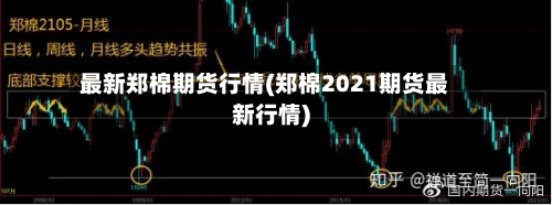 最新郑棉期货行情(郑棉2021期货最新行情)-第1张图片