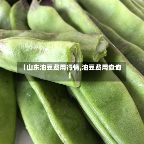 【山东油豆费用行情,油豆费用查询】-第1张图片