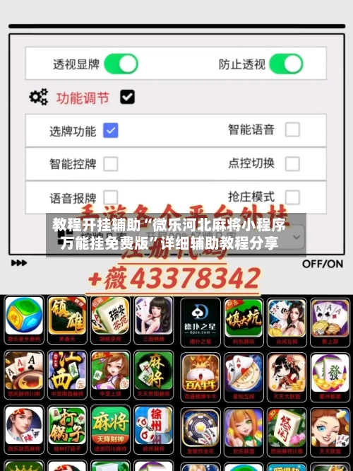 教程开挂辅助“微乐河北麻将小程序万能挂免费版”详细辅助教程分享-第1张图片