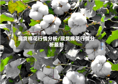 现货棉花行情分析/现货棉花行情分析最新-第1张图片