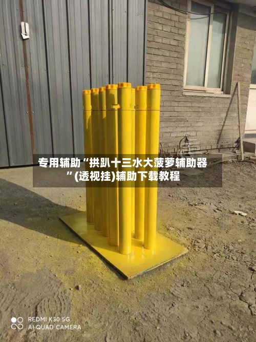 专用辅助“拱趴十三水大菠萝辅助器”(透视挂)辅助下载教程-第1张图片