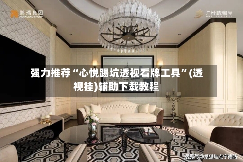 强力推荐“心悦踢坑透视看牌工具”(透视挂)辅助下载教程-第1张图片