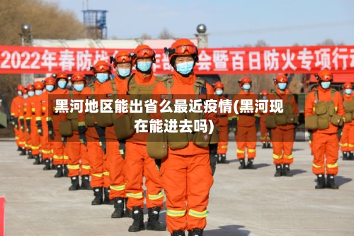 黑河地区能出省么最近疫情(黑河现在能进去吗)-第1张图片