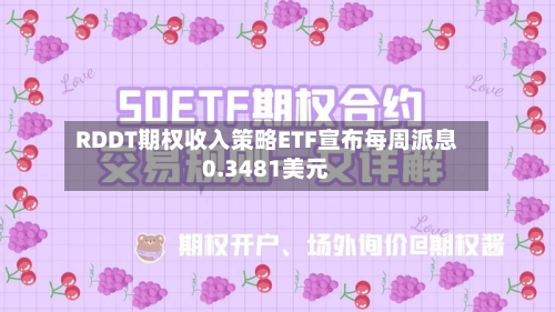 RDDT期权收入策略ETF宣布每周派息0.3481美元-第1张图片