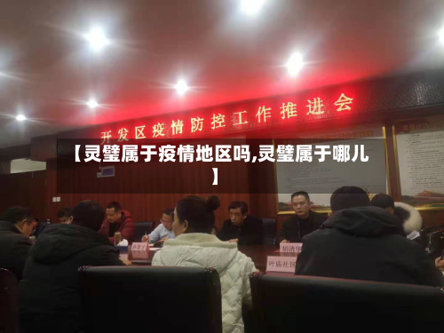 【灵璧属于疫情地区吗,灵璧属于哪儿】-第1张图片