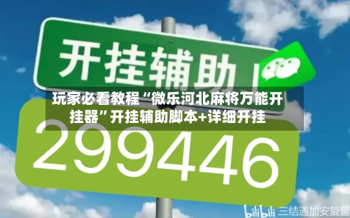 玩家必看教程“微乐河北麻将万能开挂器”开挂辅助脚本+详细开挂-第1张图片
