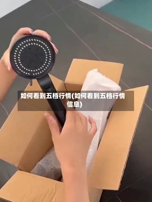 如何看到五档行情(如何看到五档行情信息)-第1张图片