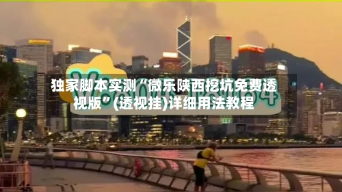 独家脚本实测“微乐陕西挖坑免费透视版”(透视挂)详细用法教程-第1张图片