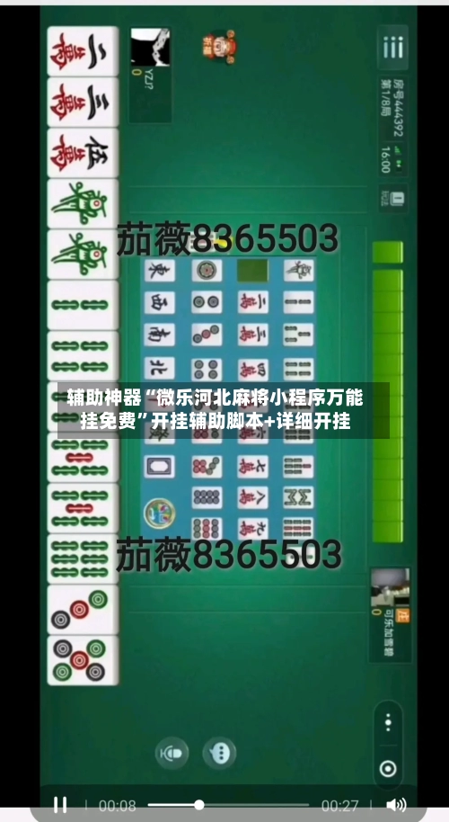 辅助神器“微乐河北麻将小程序万能挂免费	”开挂辅助脚本+详细开挂-第1张图片
