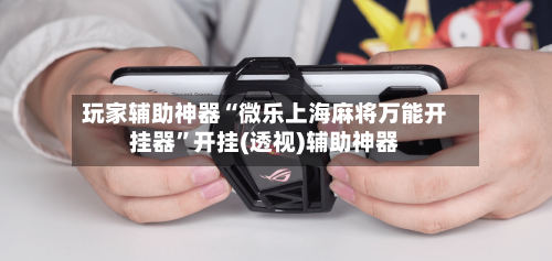 玩家辅助神器“微乐上海麻将万能开挂器”开挂(透视)辅助神器-第1张图片