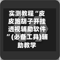 实测教程“皮皮跑胡子开挂透视辅助软件	”(必备工具)辅助教学-第1张图片