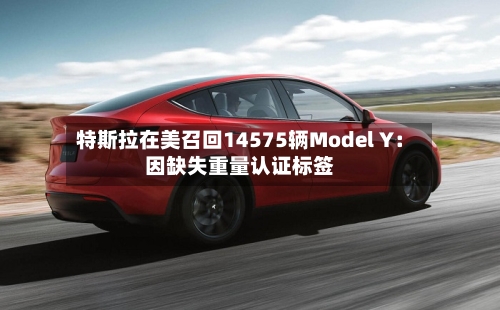 特斯拉在美召回14575辆Model Y：因缺失重量认证标签-第1张图片