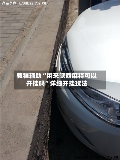 教程辅助“闲来陕西麻将可以开挂吗”详细开挂玩法-第1张图片