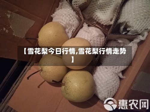 【雪花梨今日行情,雪花梨行情走势】-第1张图片