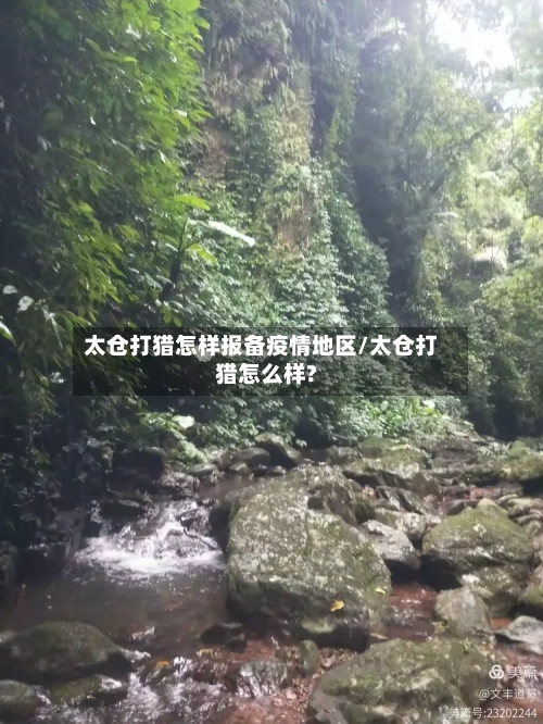 太仓打猎怎样报备疫情地区/太仓打猎怎么样?-第1张图片