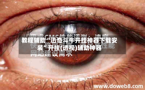 教程辅助“迅奇斗牛开挂神器下载安装”开挂(透视)辅助神器-第1张图片
