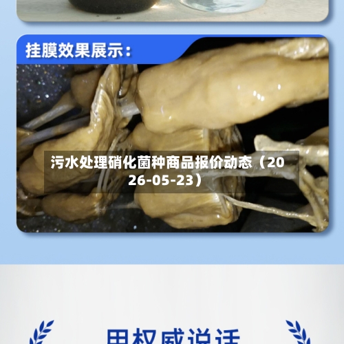 污水处理硝化菌种商品报价动态（2026-05-23）-第1张图片