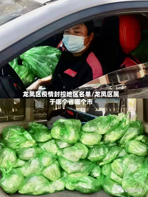 龙凤区疫情封控地区名单/龙凤区属于哪个省哪个市-第1张图片