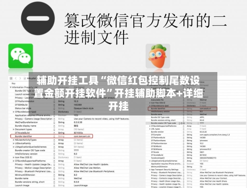 辅助开挂工具“微信红包控制尾数设置金额开挂软件”开挂辅助脚本+详细开挂-第1张图片