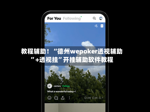 教程辅助！“德州wepoker透视辅助	”+透视挂”开挂辅助软件教程-第1张图片