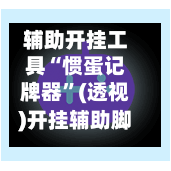 辅助开挂工具“惯蛋记牌器”(透视)开挂辅助脚本+详细开挂安装教程-第1张图片